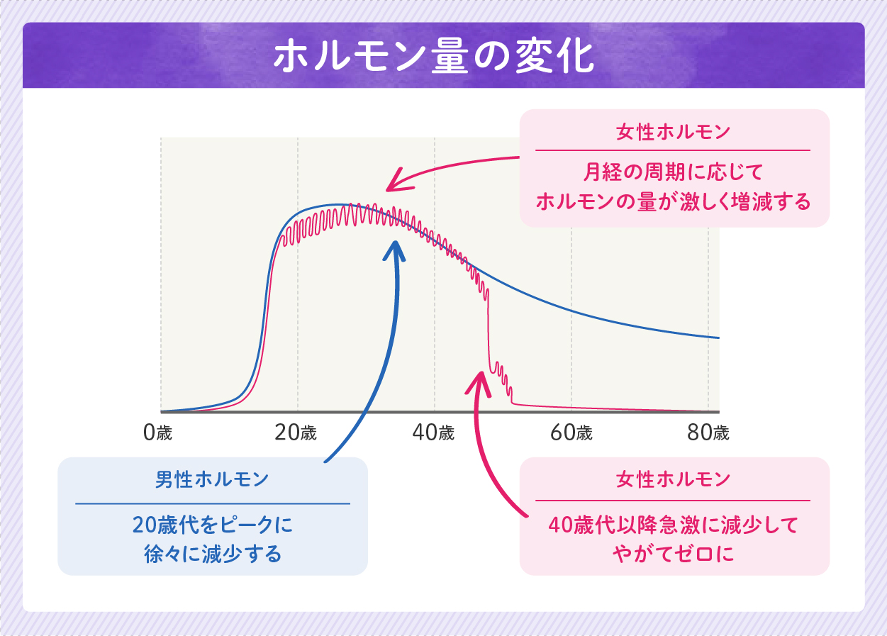 ホルモン量の変化 ホルモン量の変改