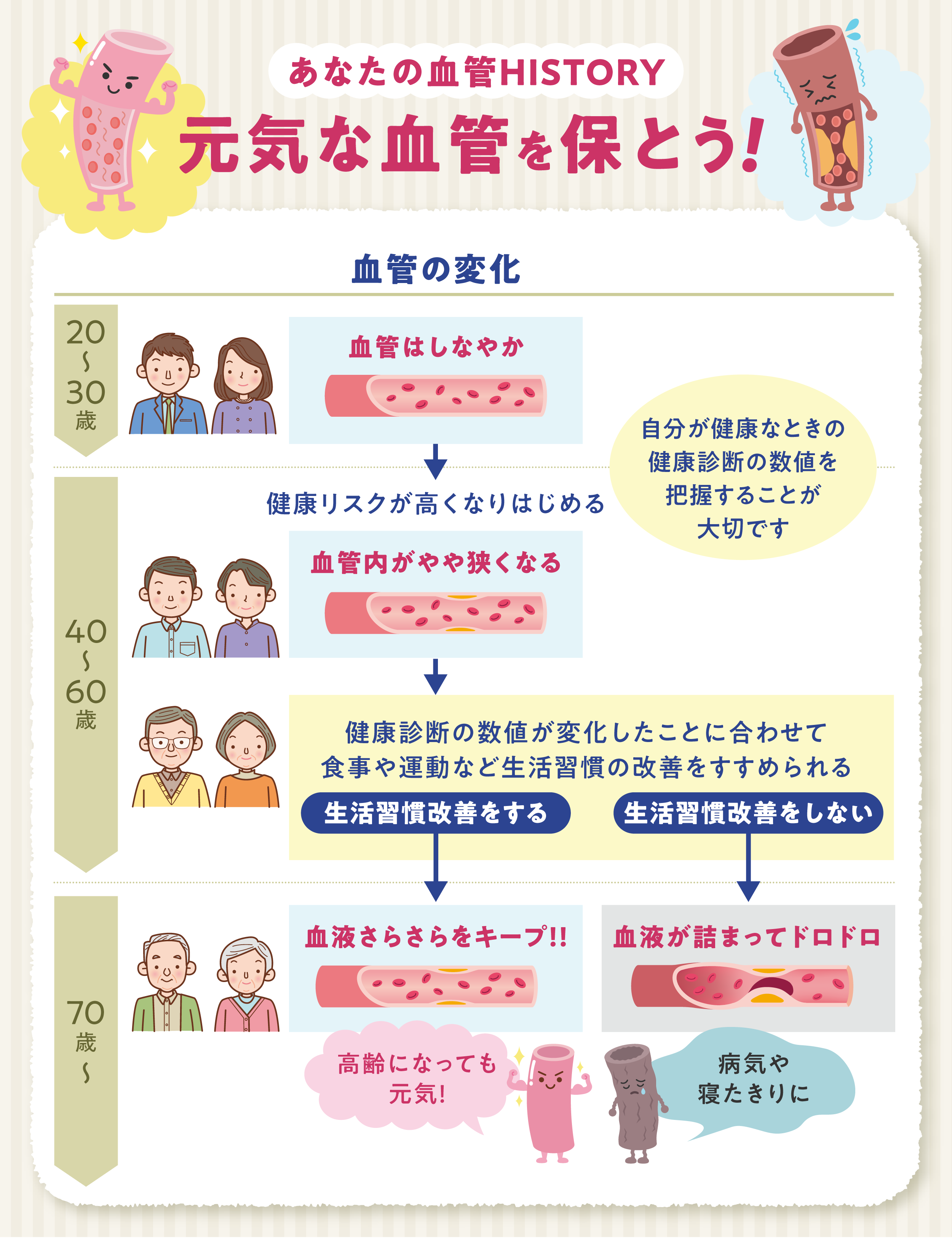 血管HISTORY 血管HISTORY